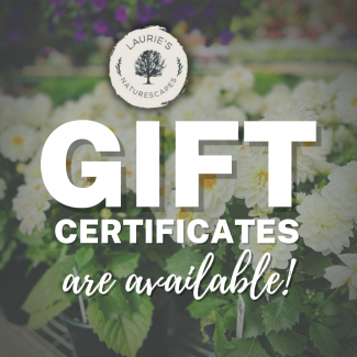 Laurie's Naturescapes Gift Certificates